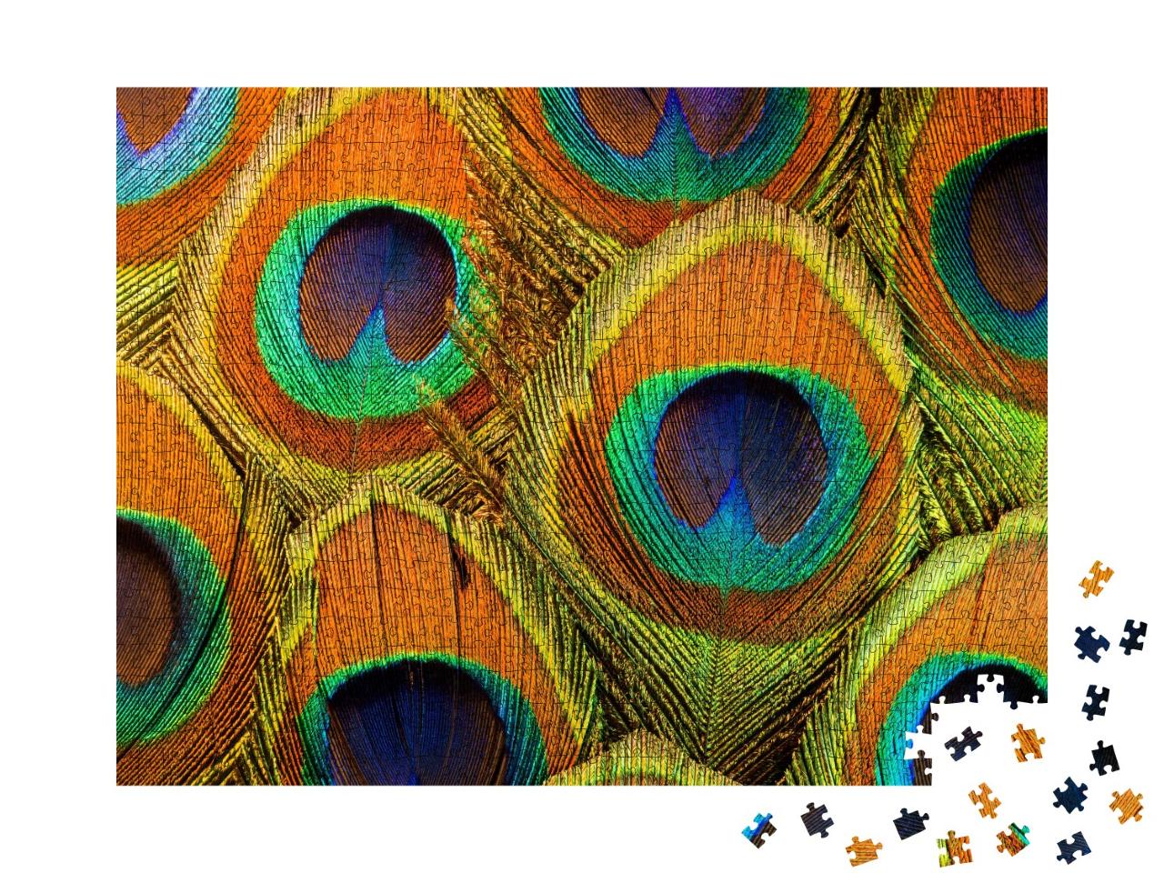Puzzle de 1000 pièces « Plumes de paon multicolores »
