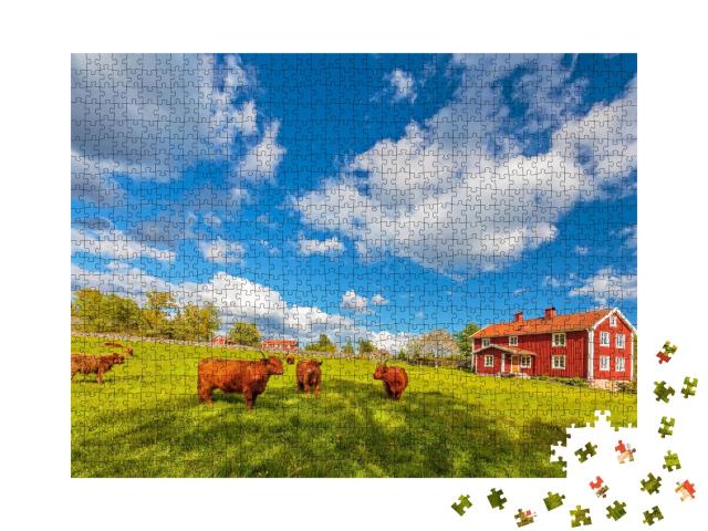 Puzzle de 1000 pièces « Bœufs des Highlands devant de vieilles fermes en bois, Smaland, Suède »