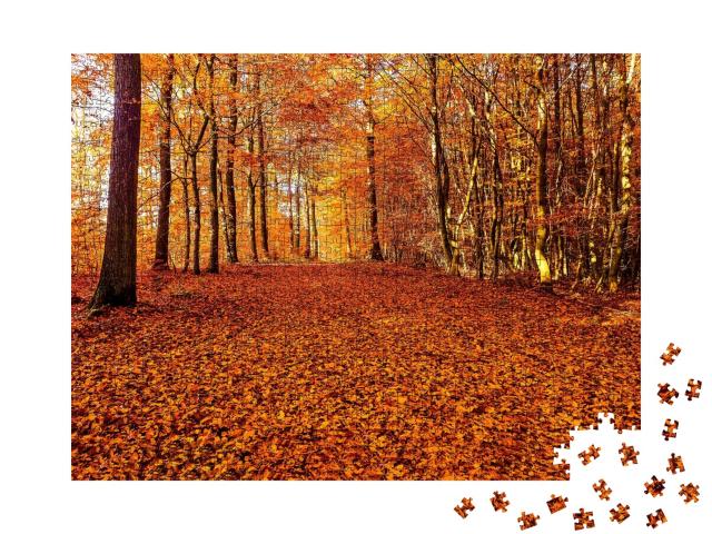 Puzzle de 1000 pièces « Une route de feuilles d'automne dans la forêt »