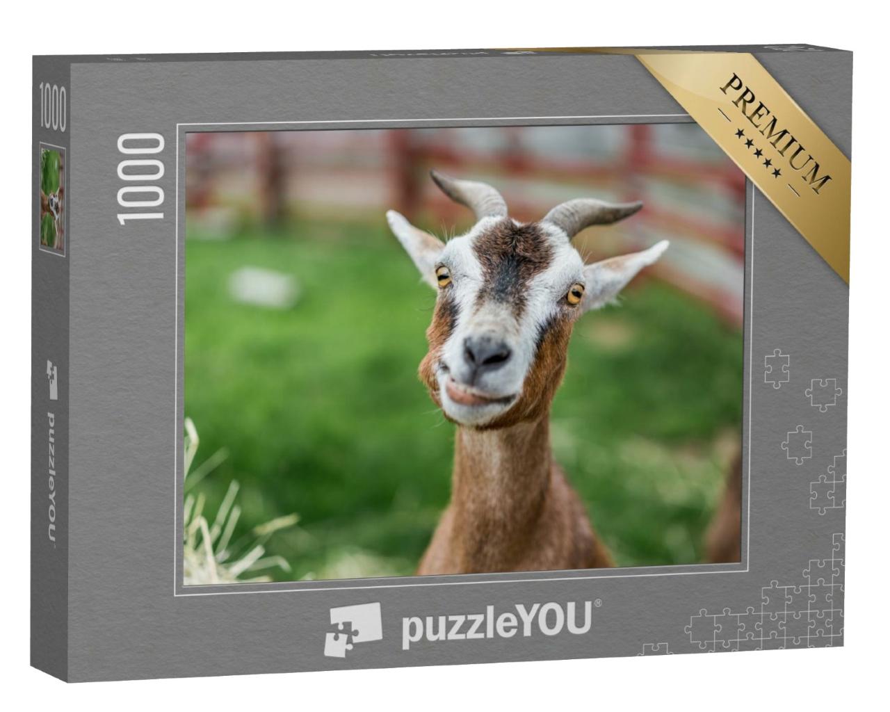 Puzzle de 1000 pièces « Gros plan : une adorable chèvre dans le pré »