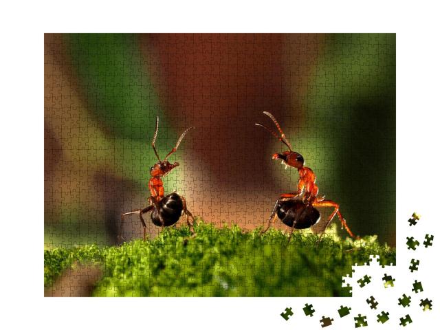 Puzzle de 1000 pièces « Le combat de deux fourmis »