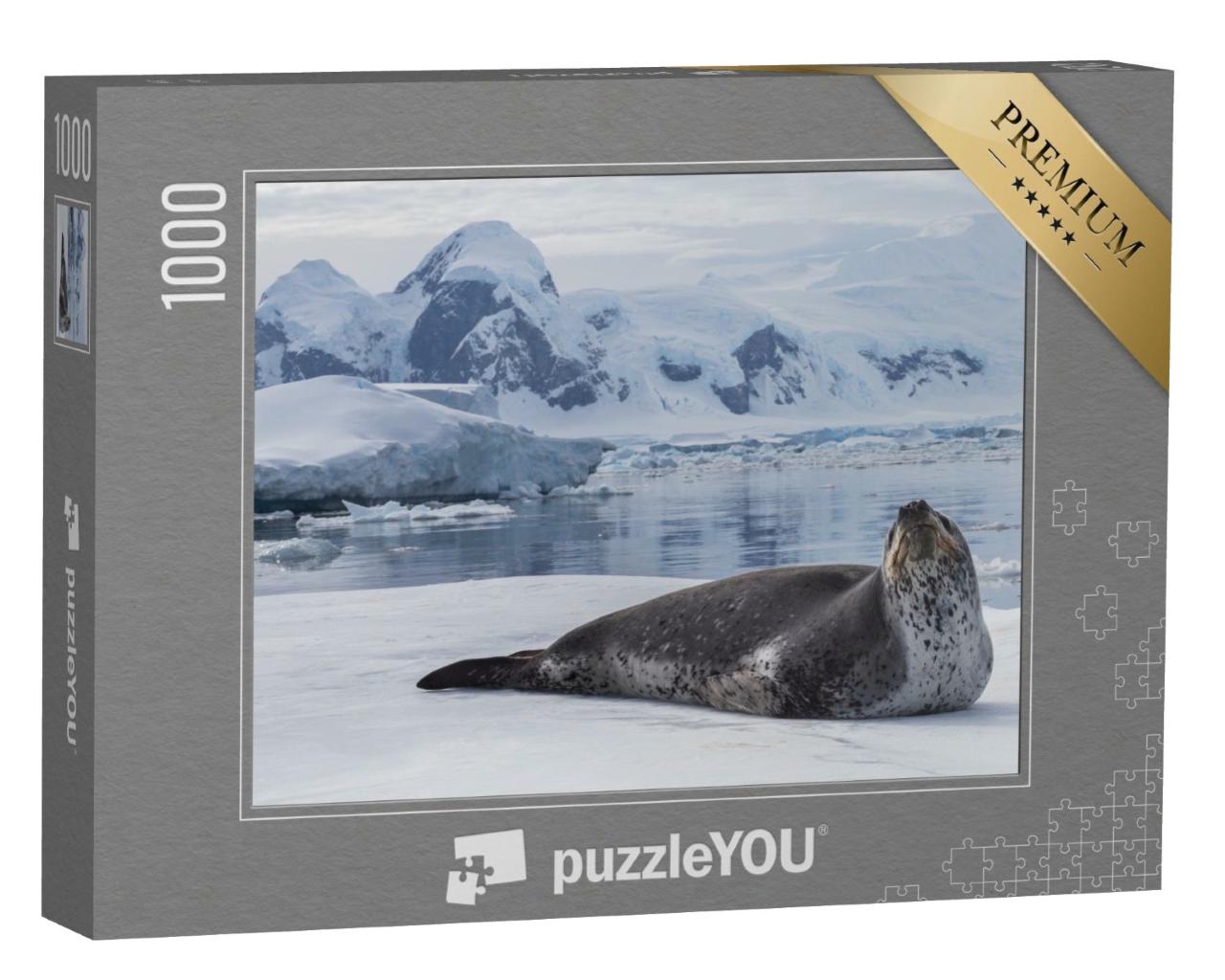 Puzzle de 1000 pièces « Le léopard des mers, un prédateur de l'Antarctique »