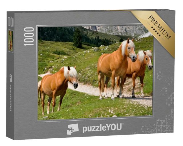 Puzzle de 1000 pièces « Trois chevaux Haflinger sur un alpage dans le Tyrol du Sud, Italie »