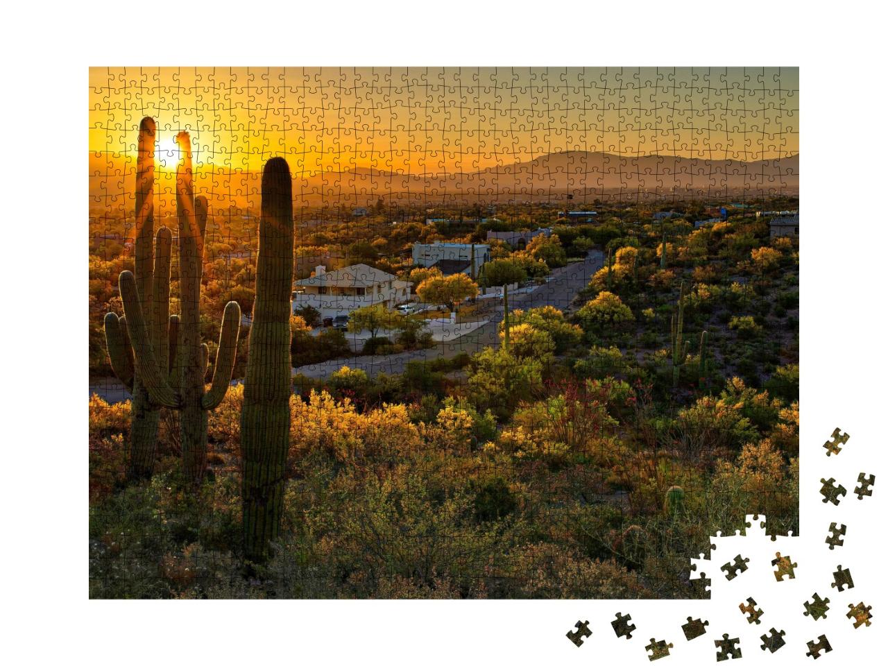Puzzle de 1000 pièces « Maisons parmi les cactus saguaro à Tucson, Arizona »