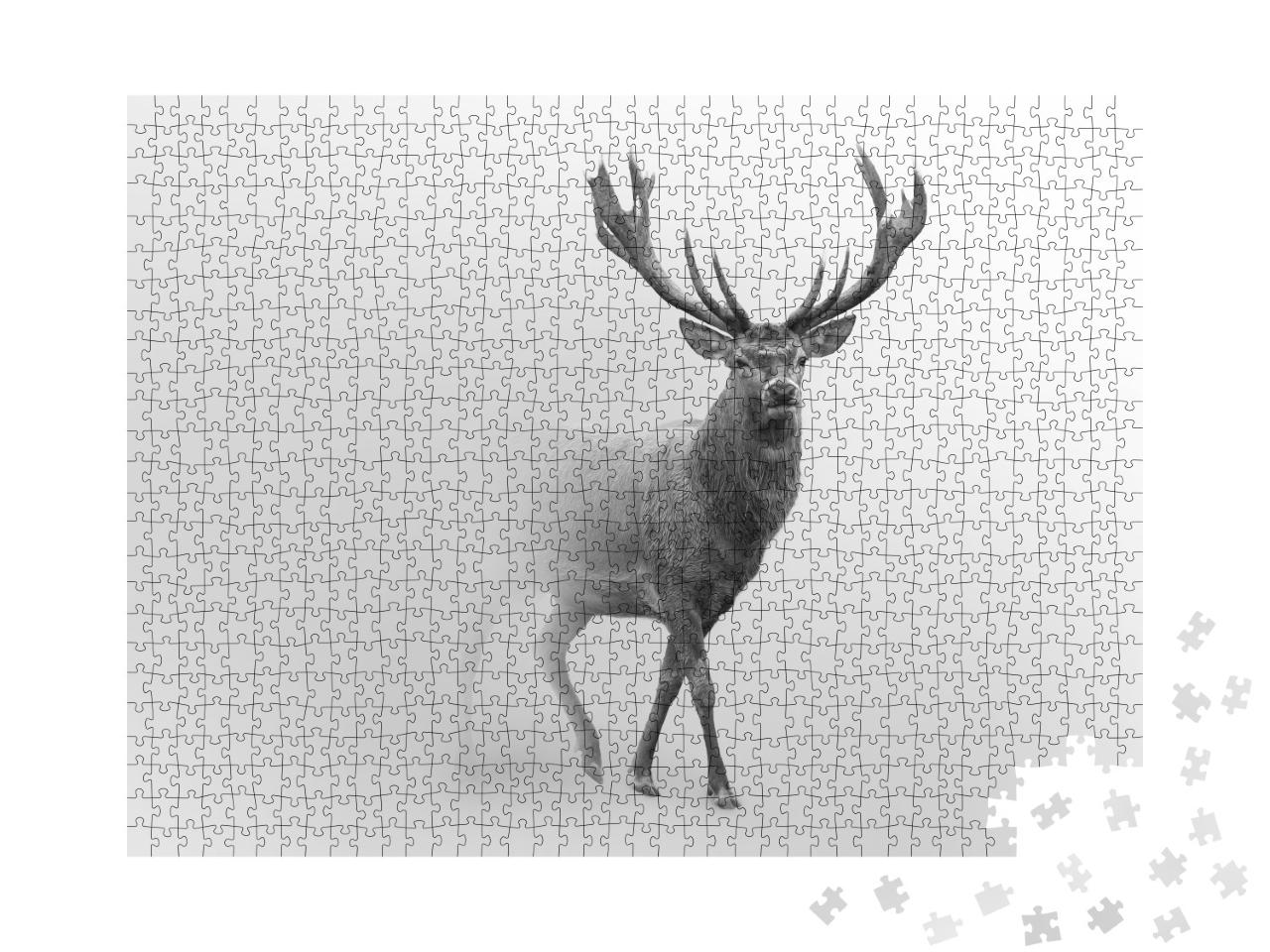 Puzzle de 1000 pièces « Cerf rouge majestueux dans le brouillard, noir et blanc »