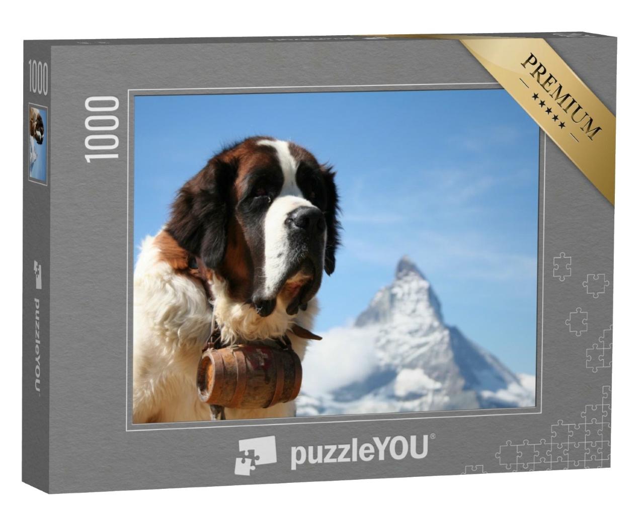 Puzzle de 1000 pièces « Chien de sauvetage du Saint-Bernard devant le Cervin, Zermatt, Suisse »