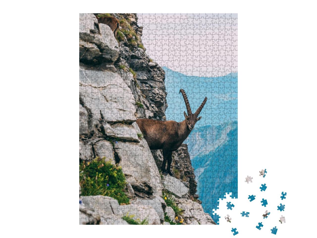 Puzzle de 1000 pièces « Bouquetin des Alpes dans un paysage de montagne sur un rocher escarpé »
