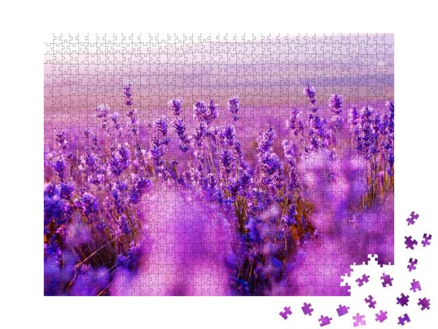 Puzzle de 1000 pièces « Magnifique champ de lavande en été »