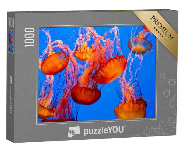 Puzzle de 1000 pièces « Spectaculaires méduses orange »