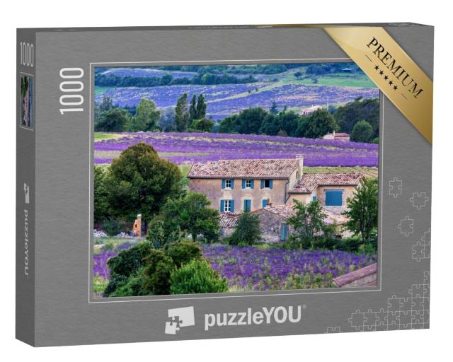 Puzzle de 1000 pièces « champ de lavande provence Sault »