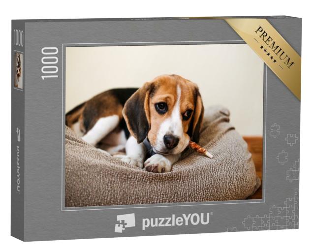 Puzzle de 1000 pièces « Un beagle avec une friandise »