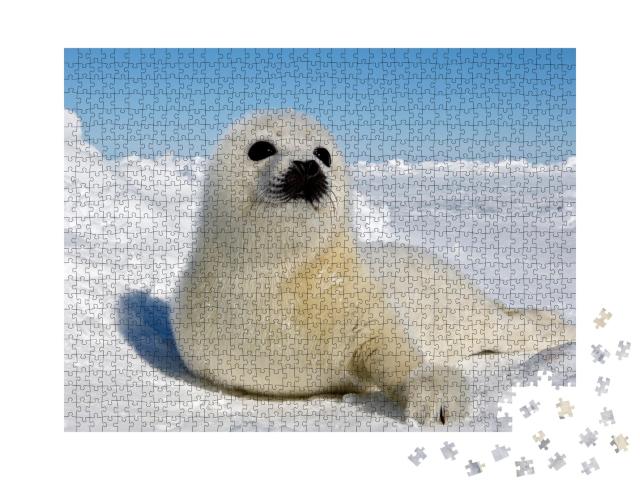 Puzzle de 1000 pièces « Bébé phoque du Groenland, Îles de la Madeleine »