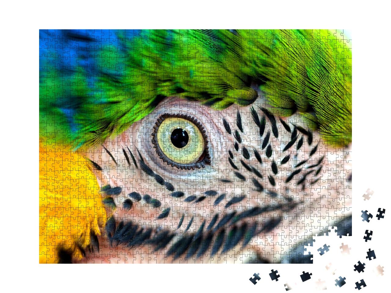 Puzzle de 1000 pièces « Détail : œil de perroquet »