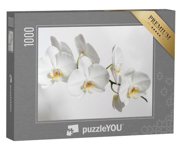 Puzzle de 1000 pièces « Charmante orchidée blanche »