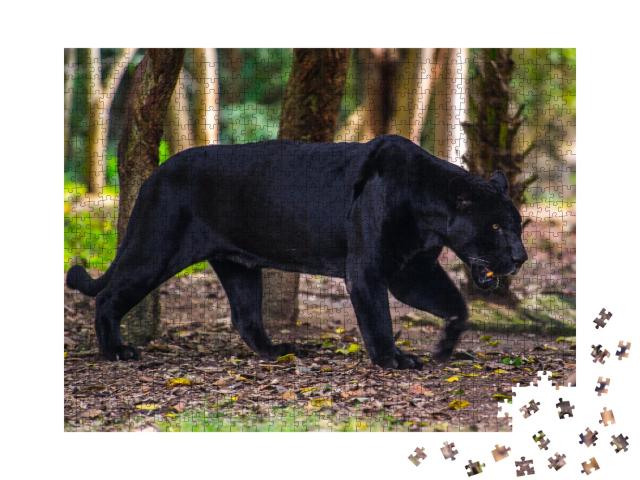 Puzzle de 1000 pièces « La panthère noire erre dans la jungle »