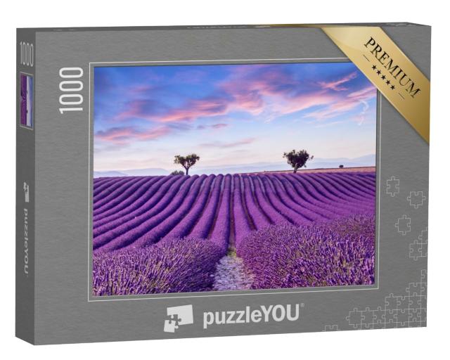 Puzzle de 1000 pièces « Champ de lavande en été, France, Provence »