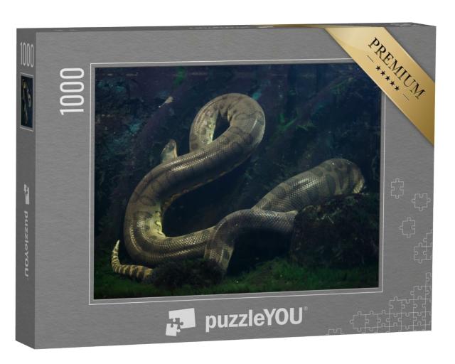 Puzzle de 1000 pièces « Anaconda vert, Eunectes murinus »