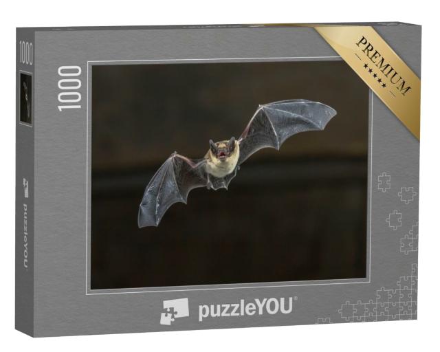 Puzzle de 1000 pièces « Étude de vol d'une pipistrelle commune »