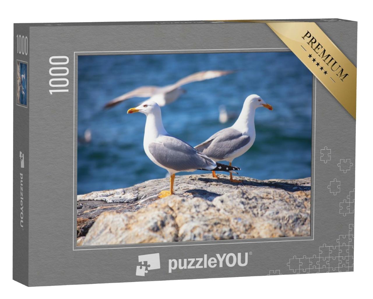Puzzle de 1000 pièces « Deux goélands marins sur la plage »