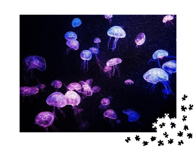 Puzzle de 1000 pièces « Réflexion de lumière translucide sur les méduses »