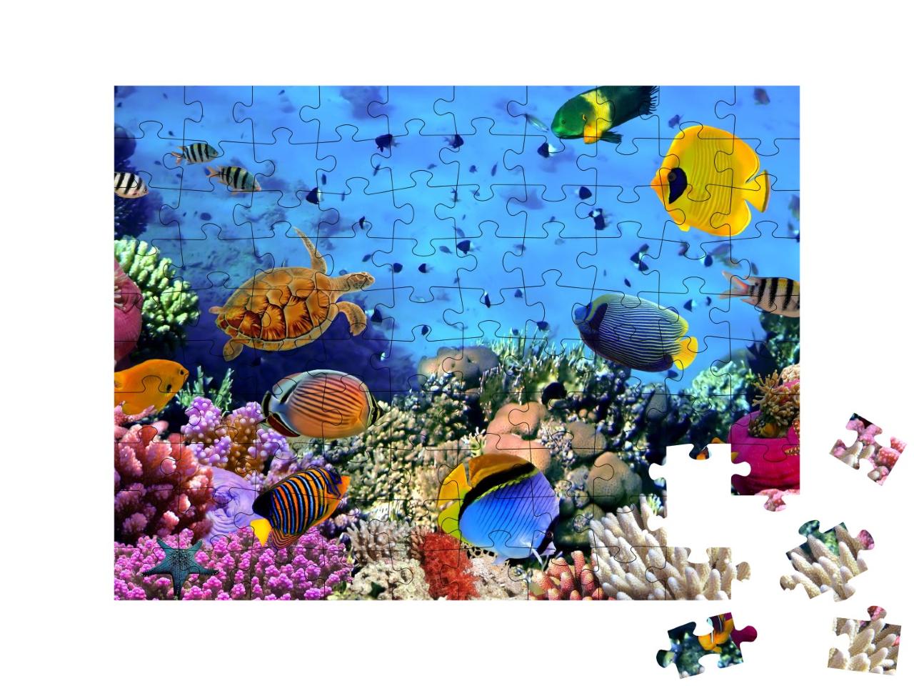 Puzzle de 100 pièces « Colonie de coraux en mer Rouge, Égypte »