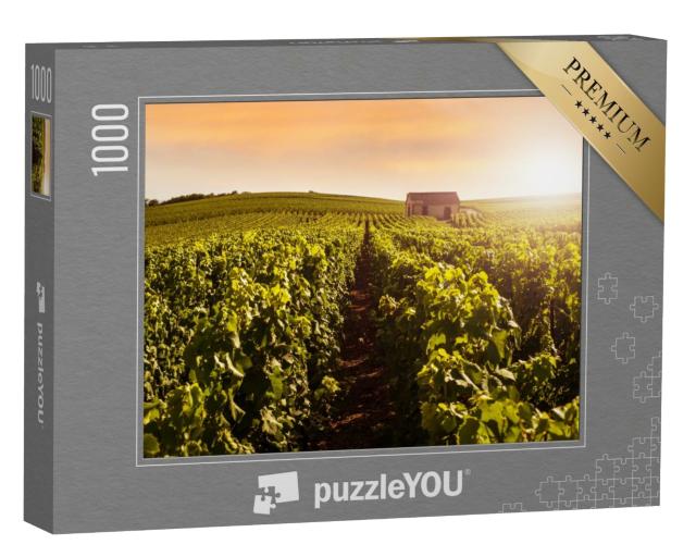 Puzzle de 1000 pièces « Vignobles de Champagne au coucher du soleil, Montagne de Reims, France »