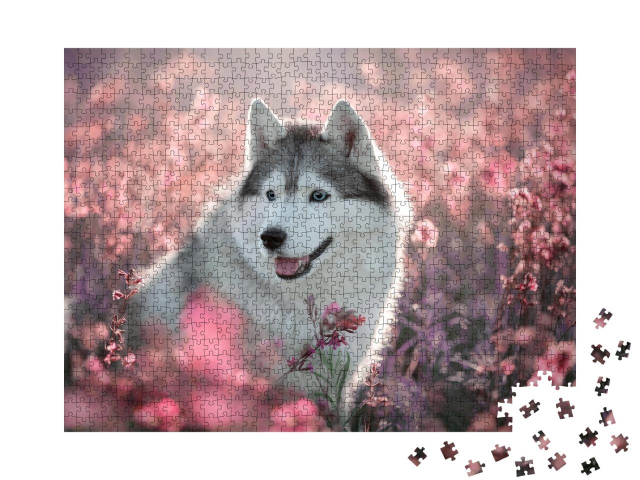 Puzzle de 1000 pièces « Magnifique husky dans un champ en fleurs »
