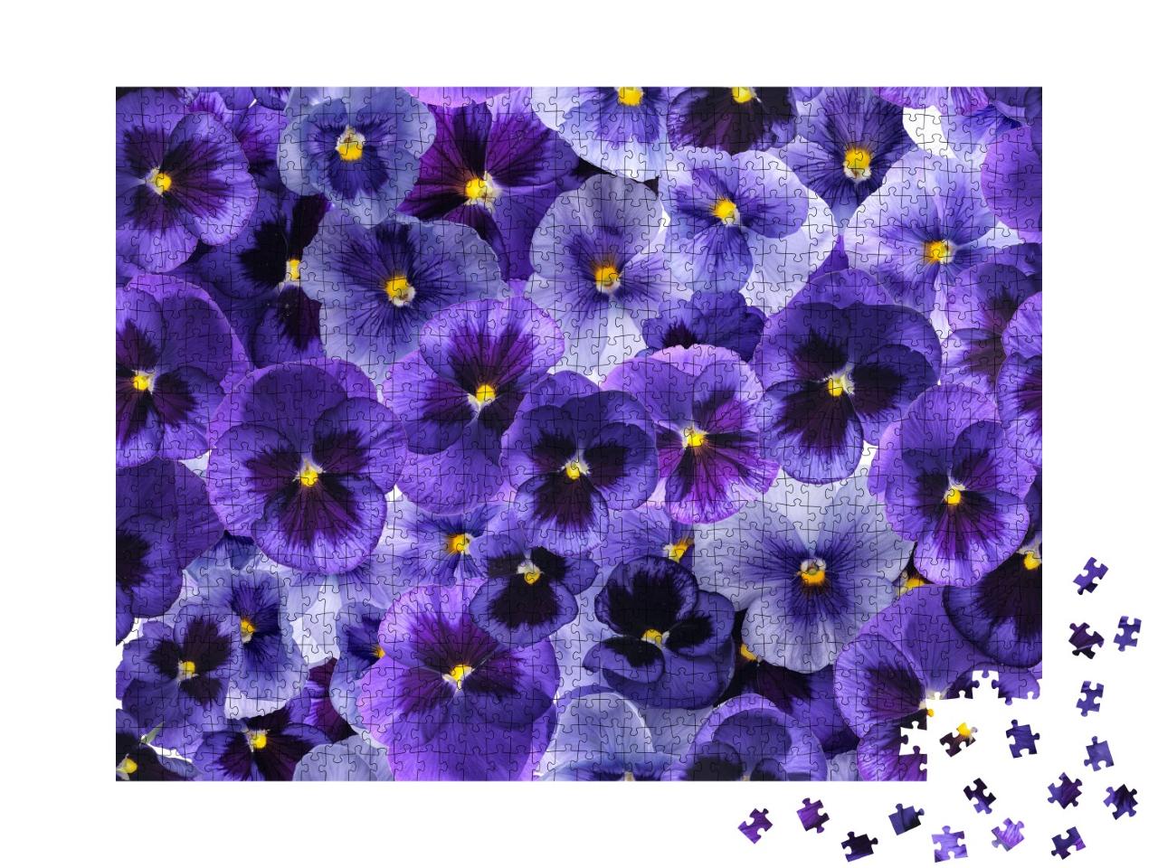 Puzzle de 1000 pièces « Fleurs de violette fraîches et violettes »
