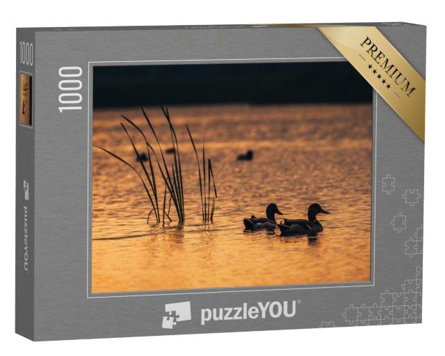 Puzzle de 1000 pièces « Canards dans l'eau du lac au lever du soleil »