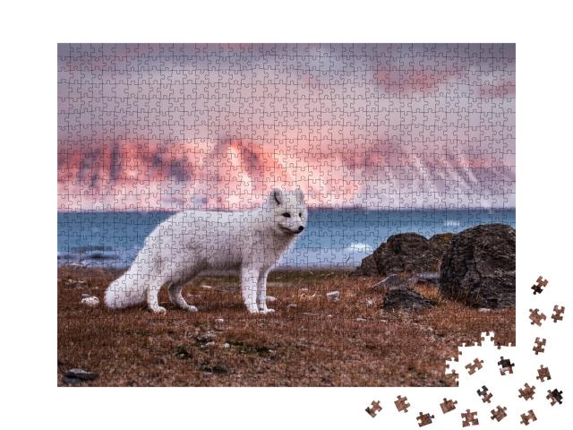 Puzzle de 1000 pièces « Renard polaire sous le soleil d'automne »
