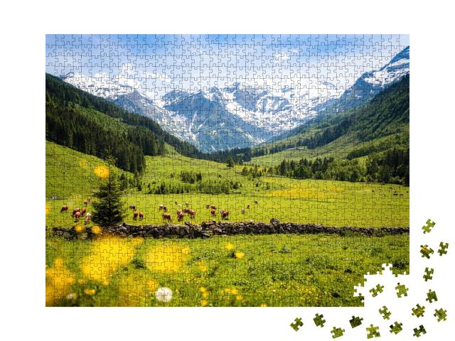 Puzzle de 1000 pièces « Paysage alpin rural avec des vaches, Parc national Hohe Tauern »