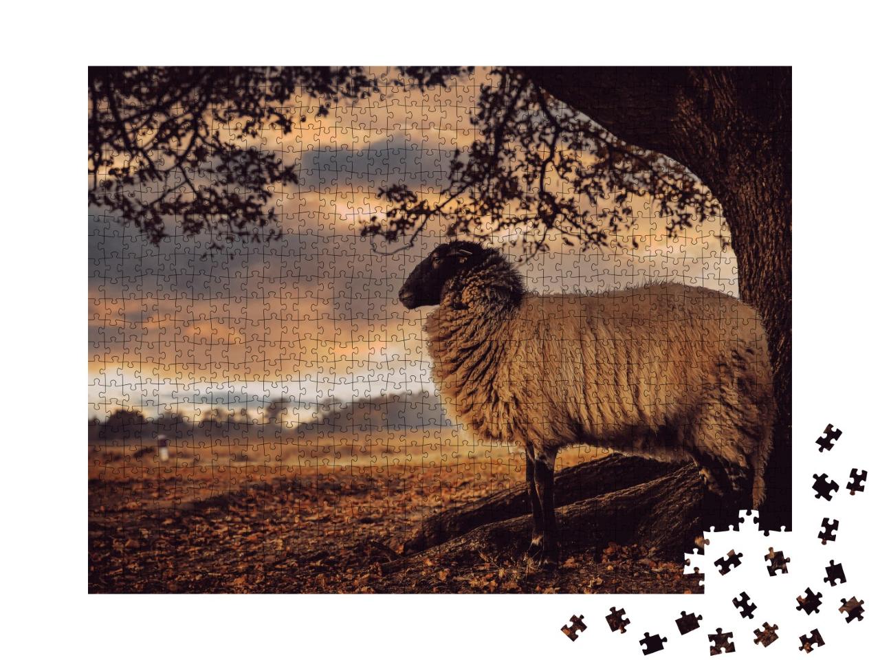 Puzzle de 1000 pièces « Mouton à tête noire se tient sous un arbre »