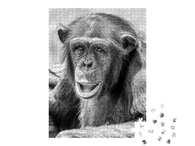 Puzzle de 1000 pièces « Chimpanzé africain »