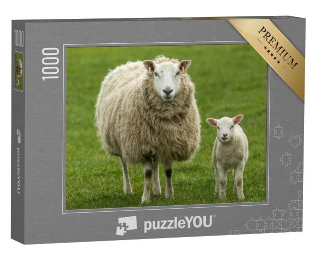 Puzzle de 1000 pièces « Brebis et son jeune agneau »
