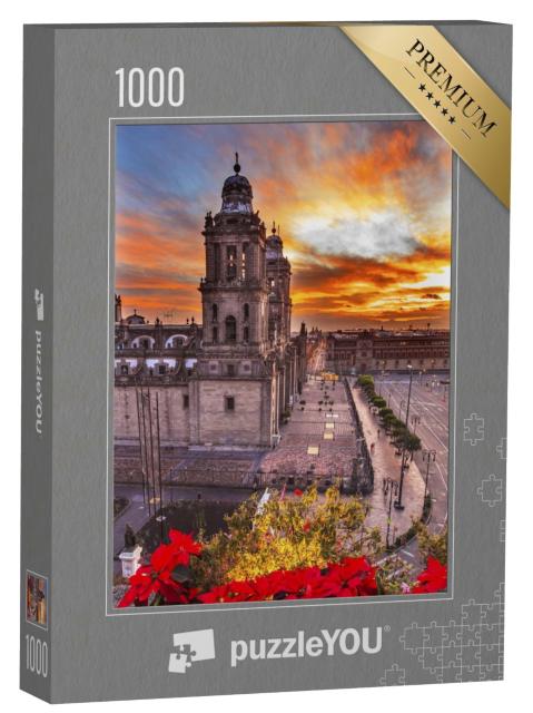 Puzzle de 1000 pièces « Cathédrale métropolitaine dans le centre de Mexico »