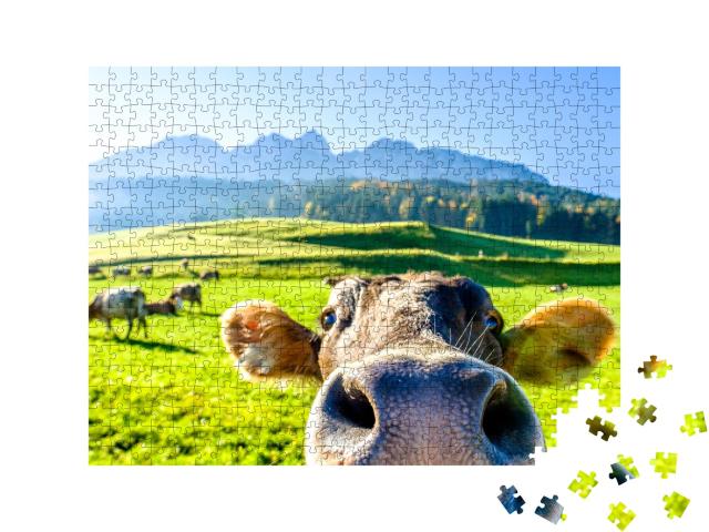 Puzzle de 500 pièces « Vache curieuse »