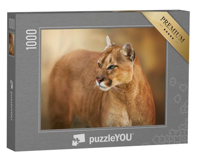 Puzzle de 1000 pièces « Puma aux yeux verts »
