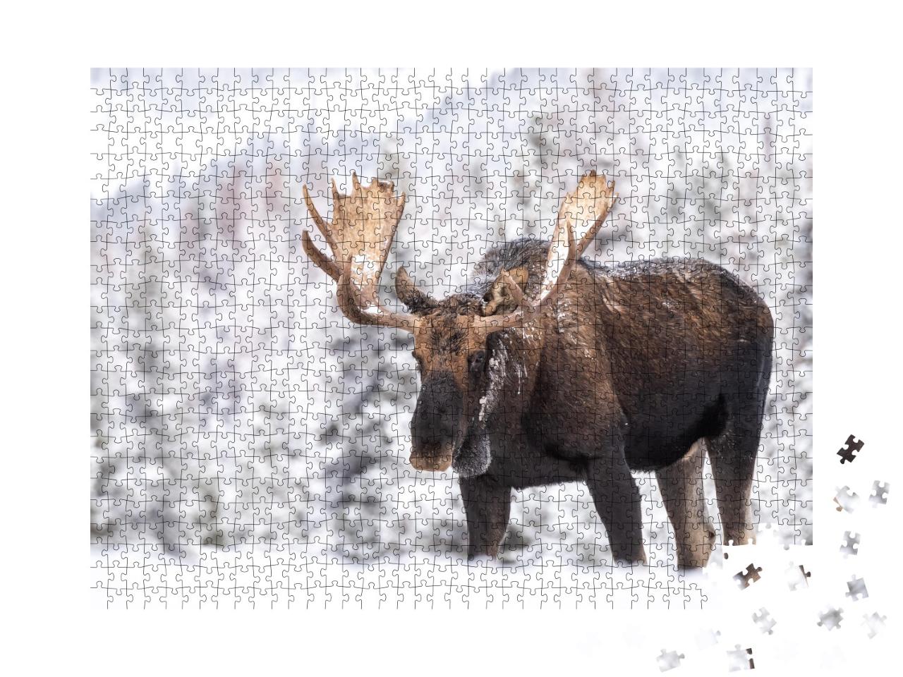 Puzzle de 1000 pièces « Elan dans la neige à Jasper, Canada »