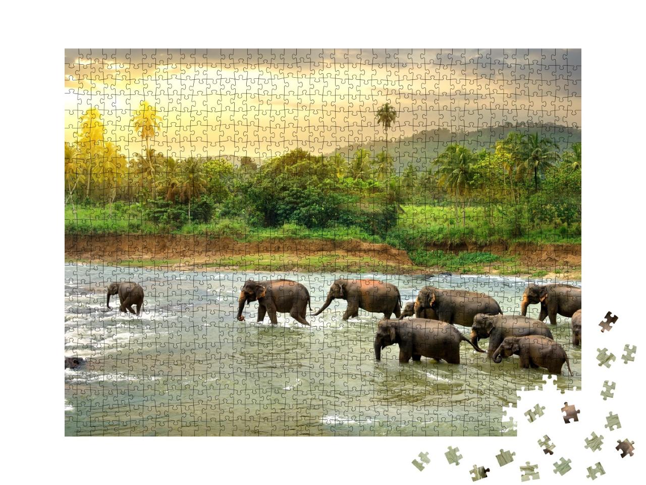 Puzzle de 1000 pièces « Les éléphants dans la rivière »