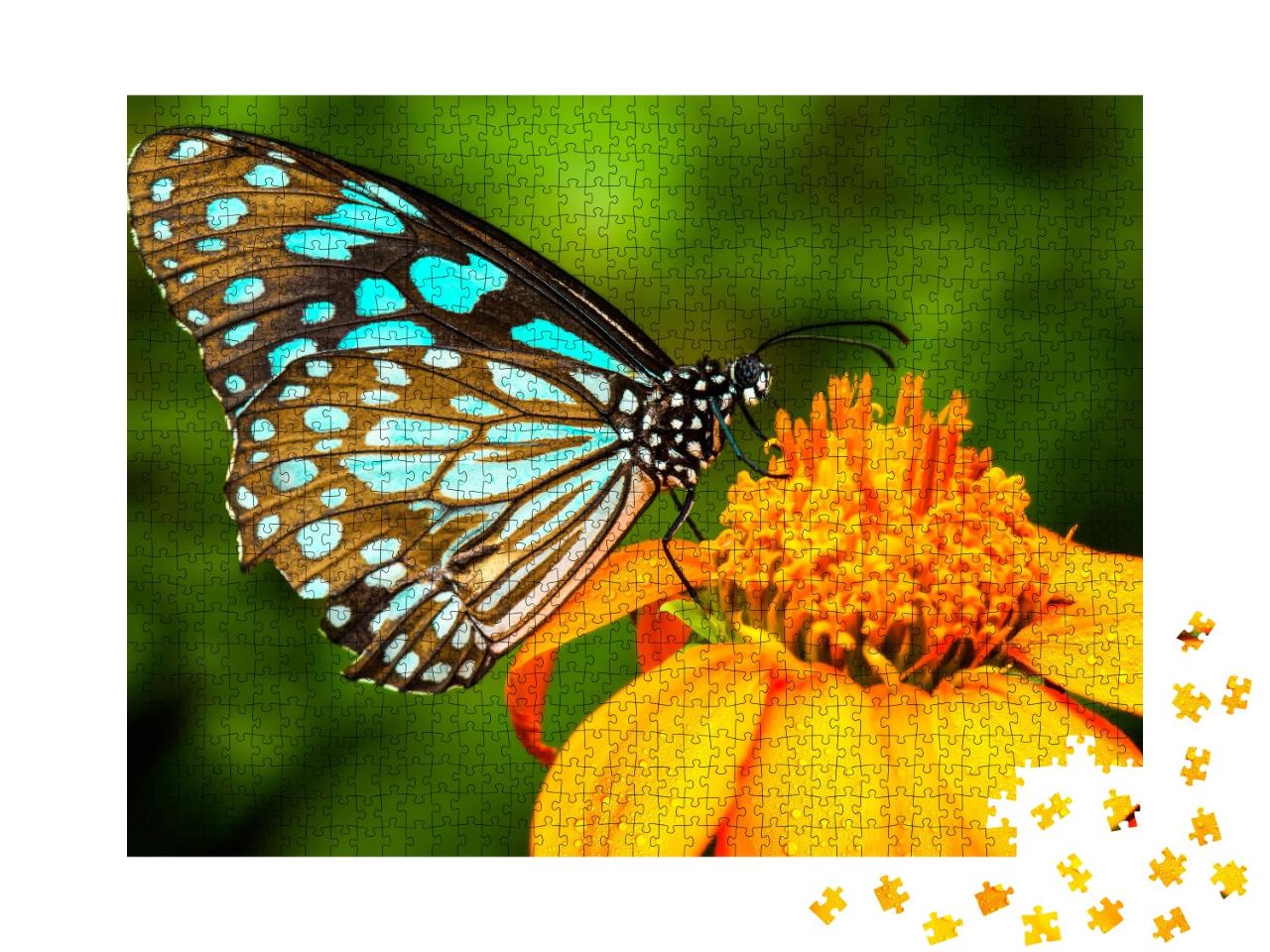 Puzzle de 1000 pièces « Scène de nature : papillon bleu sur une fleur jaune »