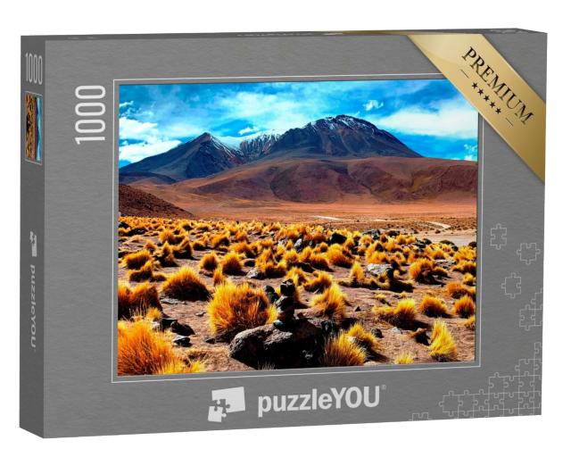 Puzzle de 1000 pièces « Hauts plateaux de Bolivie au volcan Canapa »
