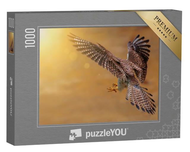 Puzzle de 1000 pièces « Vue de dos d'un faucon crécerelle en chasse »