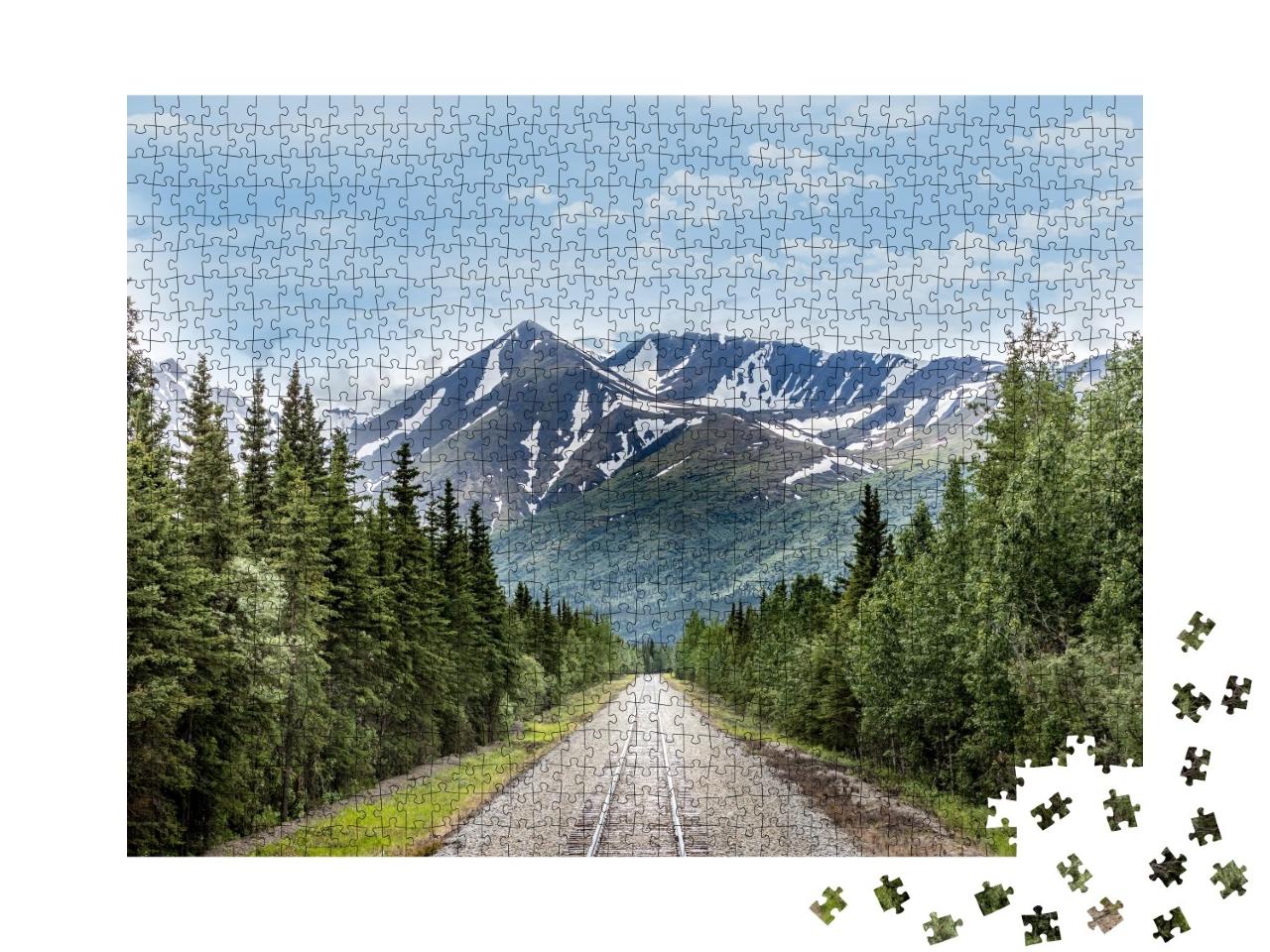 Puzzle de 1000 pièces « Voie ferrée dans le parc national de Denali, Alaska »