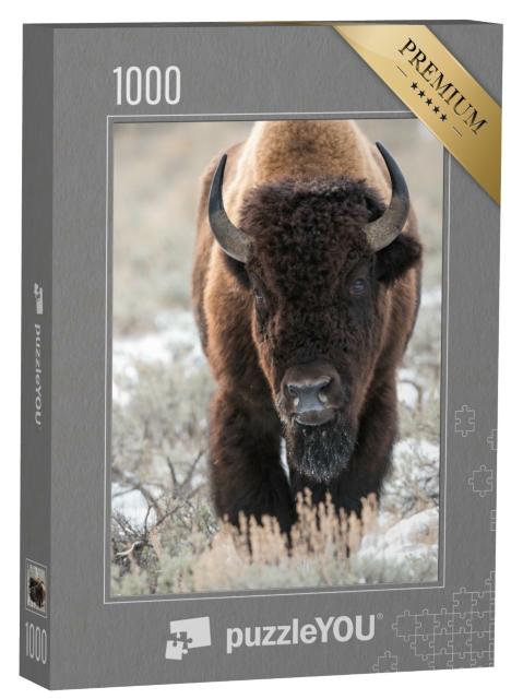 Puzzle de 1000 pièces « Un bison, buffle »