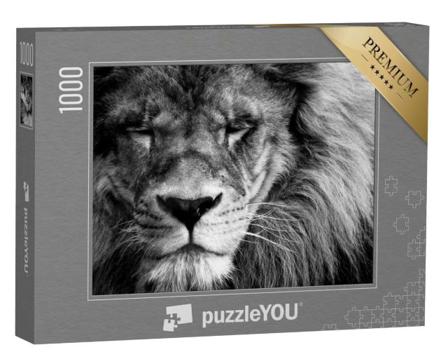Puzzle de 1000 pièces « Portrait d'un beau lion »