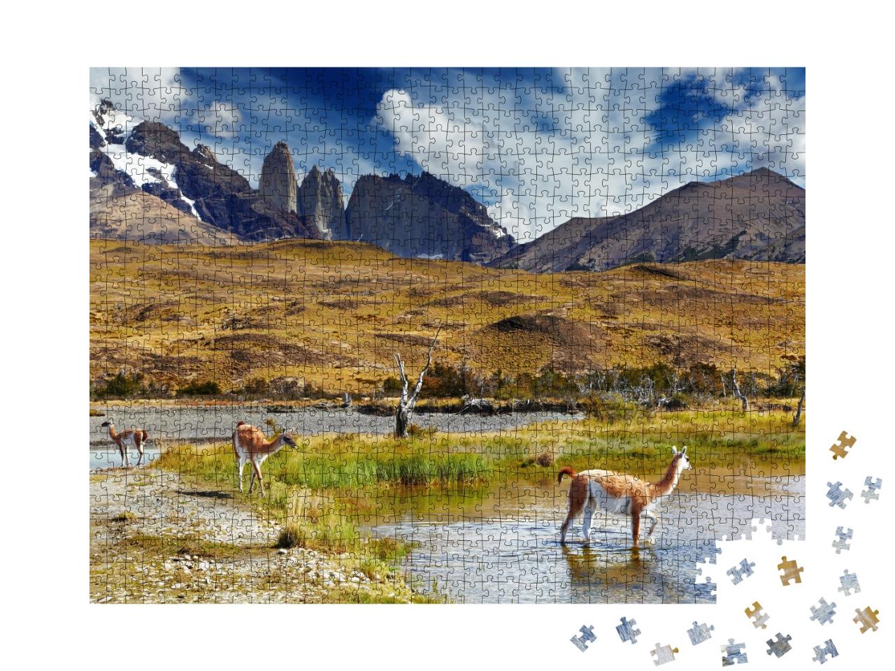 Puzzle de 1000 pièces « Guanako dans le parc national Torres del Paine, Patagonien, Chili »