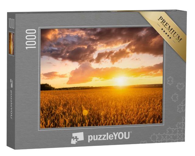 Puzzle de 1000 pièces « Coucher de soleil sur un champ de blé en été »