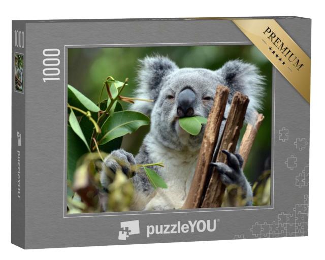 Puzzle de 1000 pièces « Koala dans le sanctuaire de koalas de Lone Pine à Brisbane »