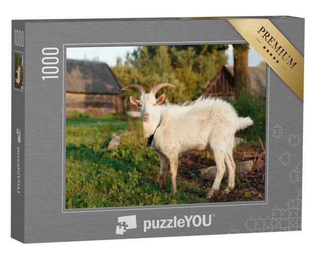 Puzzle de 1000 pièces « Chèvre blanche à la ferme en été »