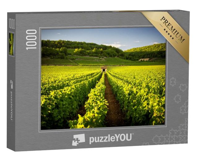 Puzzle de 1000 pièces « Vignobles à Savigny les Beaune, près de Beaune, Bourgogne, France »